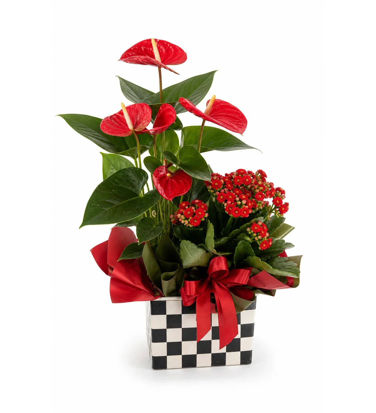 Kare Desenli Saksıda Antoryum ve Kırmızı Kalanchoe