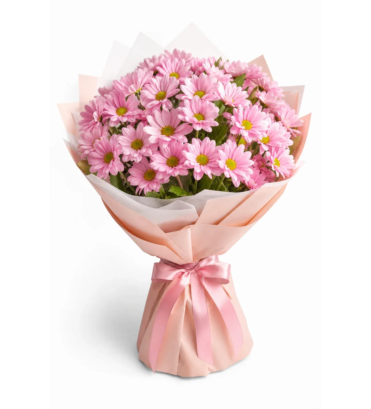 Pembe Taze Papatyalar